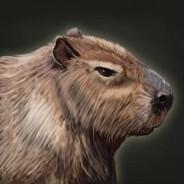 Carpincho's Stream profile image