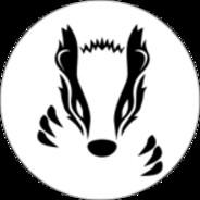 BadgerOrion's - Steam avatar