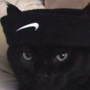 BesteiNNN's Stream profile image