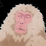 Opus's Stream profile image