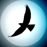 Gunhawk's - Steam avatar