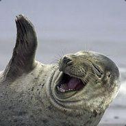Voskarius's - Steam avatar