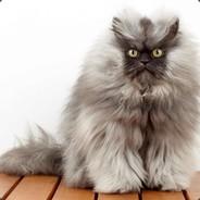 Blue's Stream profile image