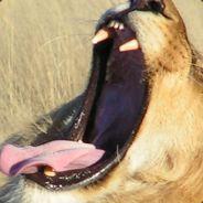 nanosterical's - Steam avatar