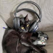 Mtfillion's - Steam avatar