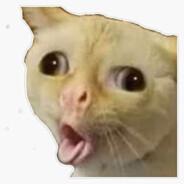 Nettaa's Stream profile image