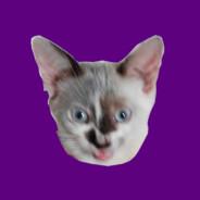 Xurumilo's Stream profile image