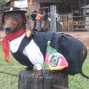 TILÃO's Stream profile image