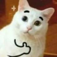 arielR23's Stream profile image