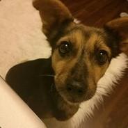 xoan's - Steam avatar