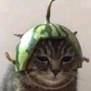 S1MPLE DEL MERCADO's Stream profile image