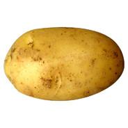 TehPeruna's Stream profile image