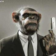 Gunni's Stream profile image