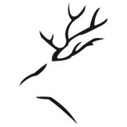 XurOo_-'s Stream profile image