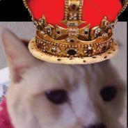 Muffgirl's Stream profile image