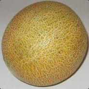 Melon's Stream profile image