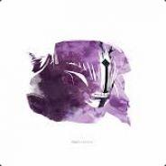 Assless Void's - Steam avatar