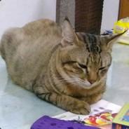 louis1273925's Stream profile image