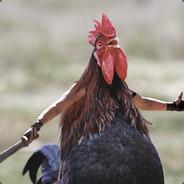 HAx's Stream profile image