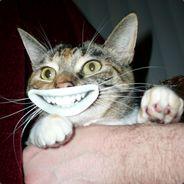 byzmaster's Stream profile image