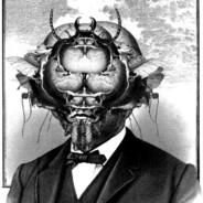 fischbrot's Stream profile image