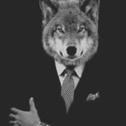 NOT A WOLF's Stream profile image