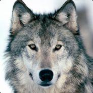 MK88's - Steam avatar