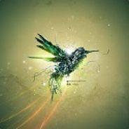 Kleinast's Stream profile image