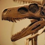 BruZi's Stream profile image