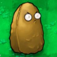 z1long's Stream profile image