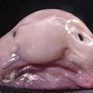 Badcopa's - Steam avatar