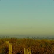 Bounele's Stream profile image