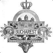 Bogdan's Stream profile image