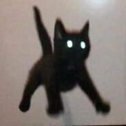 I'm slept's Stream profile image