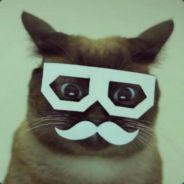 Mr. Butterfield's Stream profile image