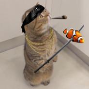 CrazyPigeon's - Steam avatar