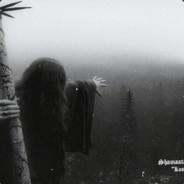 qwesa's Stream profile image