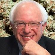 4/20 Bern It's - Steam avatar