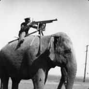 kobeycarroll's Stream profile image