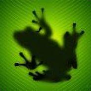 Frog's Stream profile image
