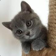Gabrielko's - Steam avatar