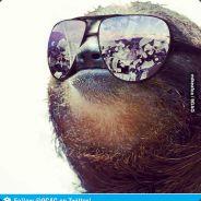 MedSloth's Stream profile image