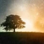 Saphyro's Stream profile image
