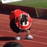 Alejandro el CTM's Stream profile image
