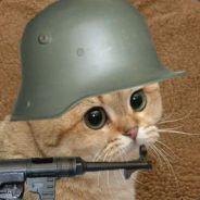 köttplockarn's Stream profile image