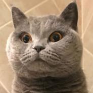 MoTzu's - Steam avatar