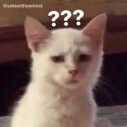 Rächt P3RPL3X's Stream profile image
