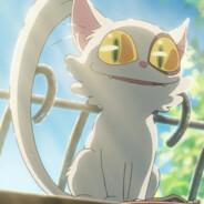 C大佳佳佳's Stream profile image