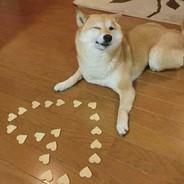 ApoloEMツ's - Steam avatar