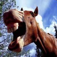 Derp Gently's Stream profile image